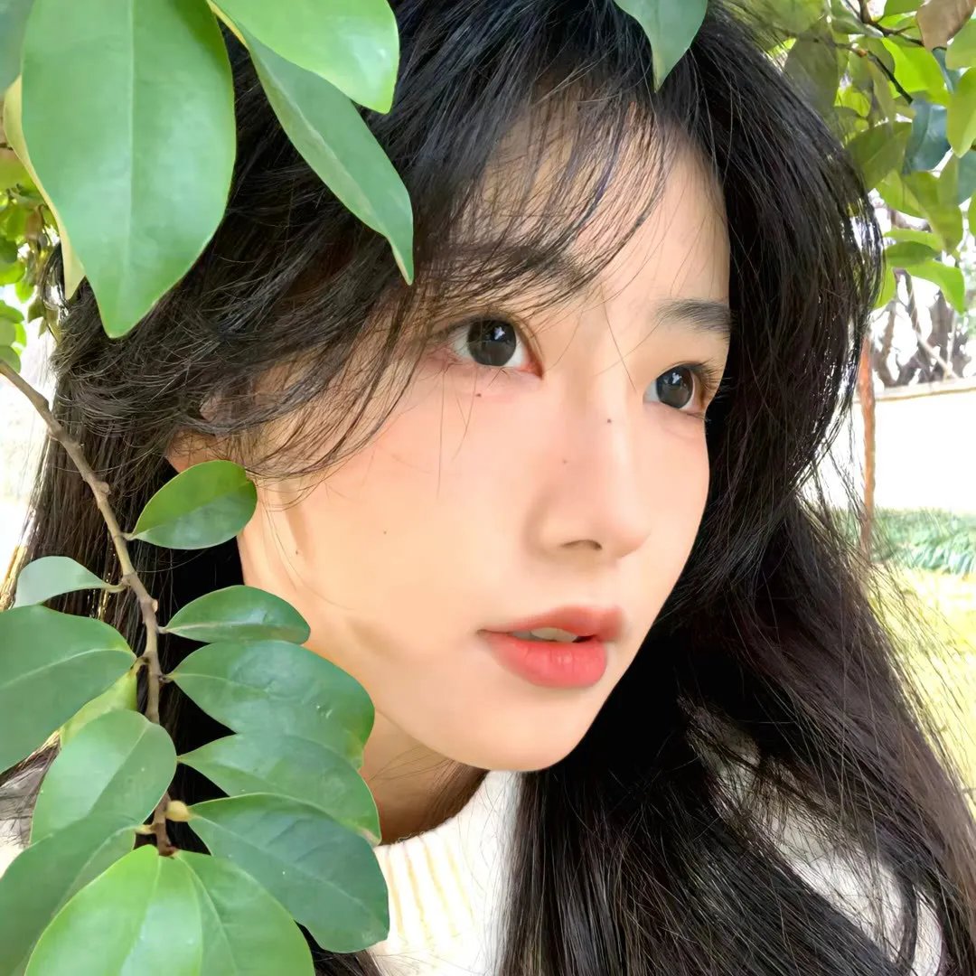 宠物粉红鹅卵石